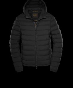 Bitewave.shop062bc85397 2