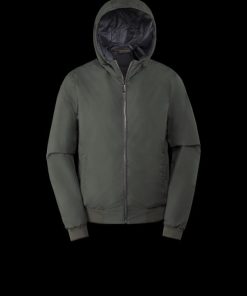 Bitewave.shop1f958aeb3f 2