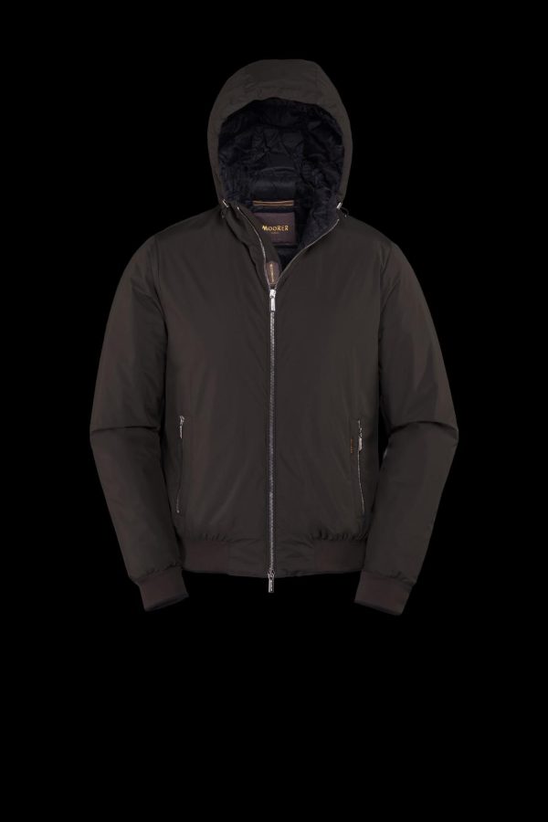 Bitewave.shop20f3d32856 2