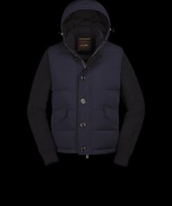 Bitewave.shop3f841721e5 2