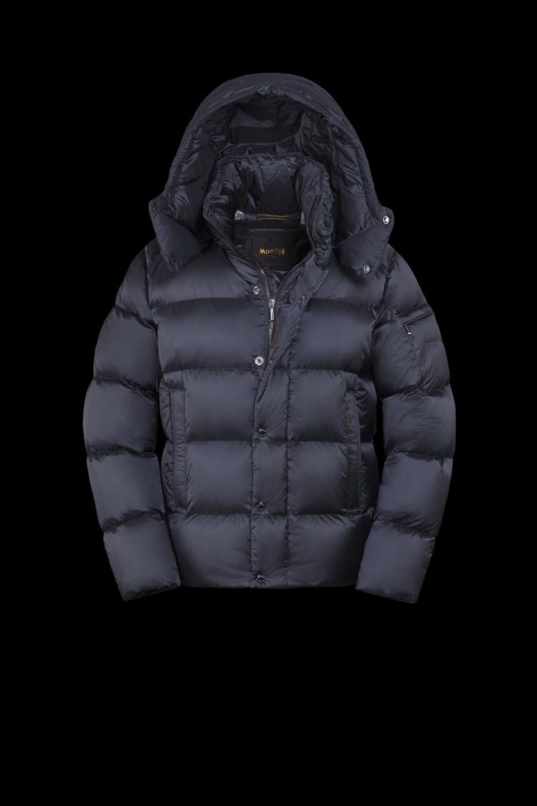 Bitewave.shop41377748b5 2