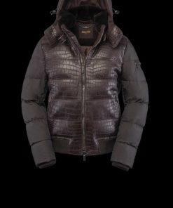 Bitewave.shop475452468c 2