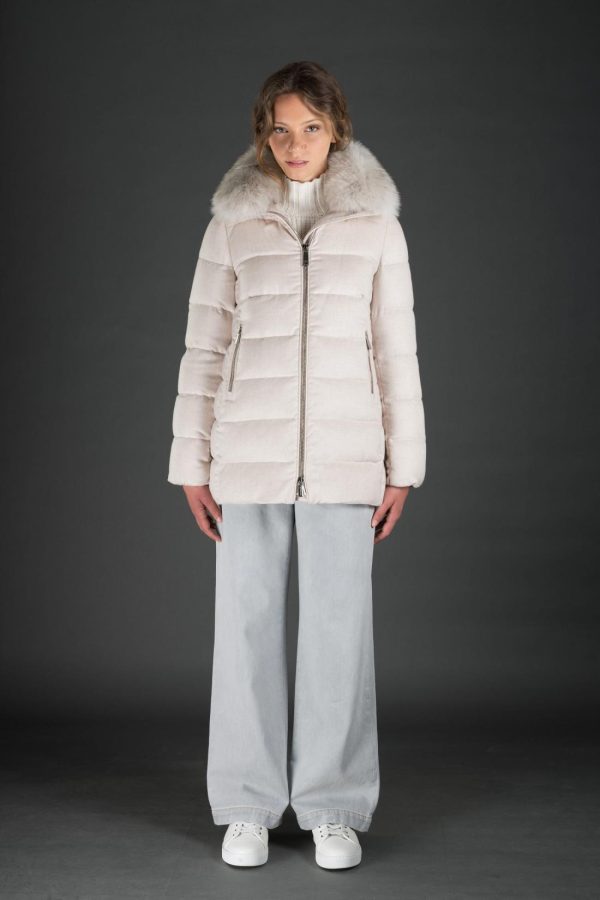 Bitewave.shop48a9b4e844 1