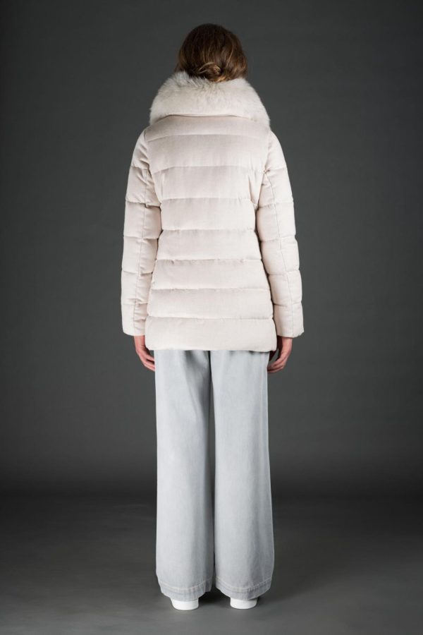 Bitewave.shop48a9b4e844 3