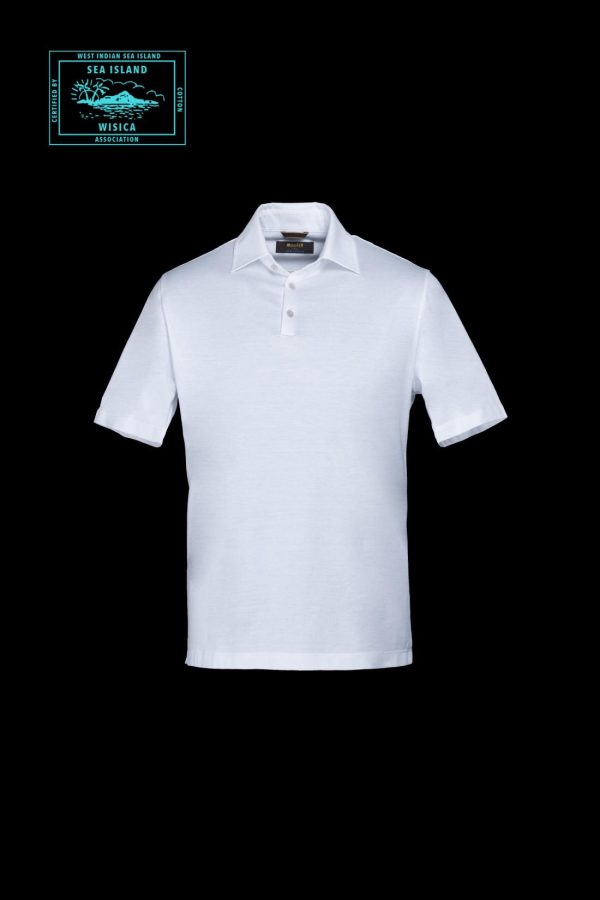 Bitewave.shop499624dba3 2