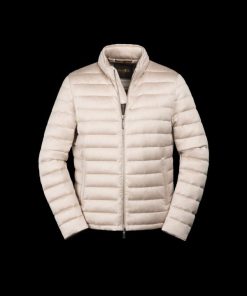 Bitewave.shop56ae1ca98b 1