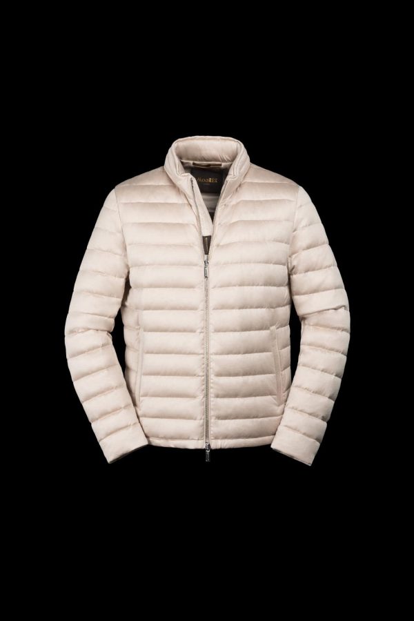 Bitewave.shop56ae1ca98b 2