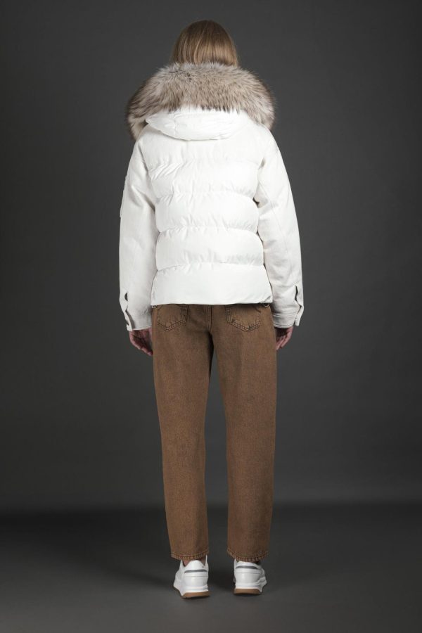 Bitewave.shop5b0ee1db29 5