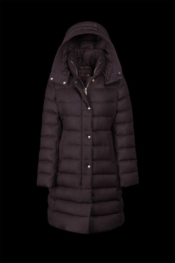 Bitewave.shop5b41194f5a 2