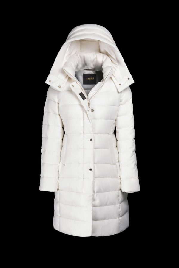 Bitewave.shop5bfbb60225 2