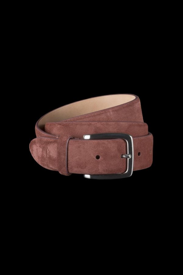 Bitewave.shop5cf3ed23a0 2