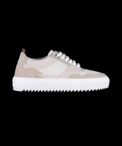 Bitewave.shop5e93144122 2