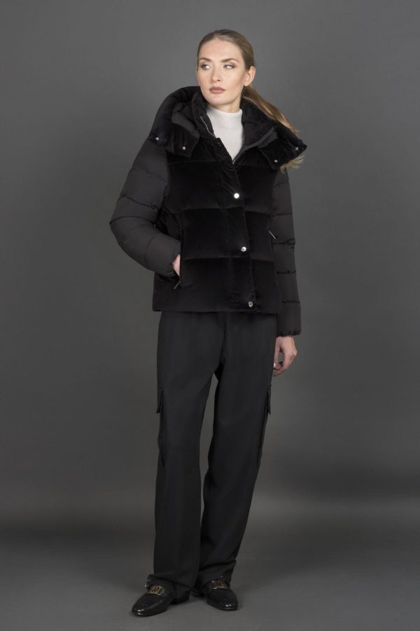 Bitewave.shop6efb08dbcf 1