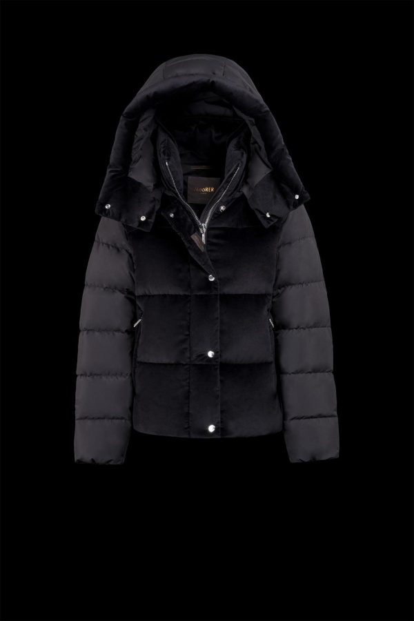 Bitewave.shop6efb08dbcf 2