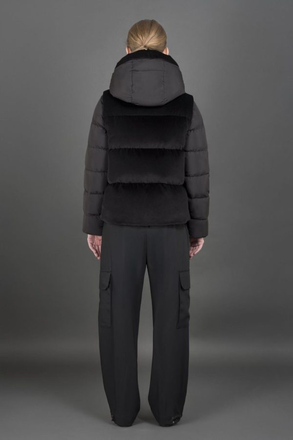 Bitewave.shop6efb08dbcf 4