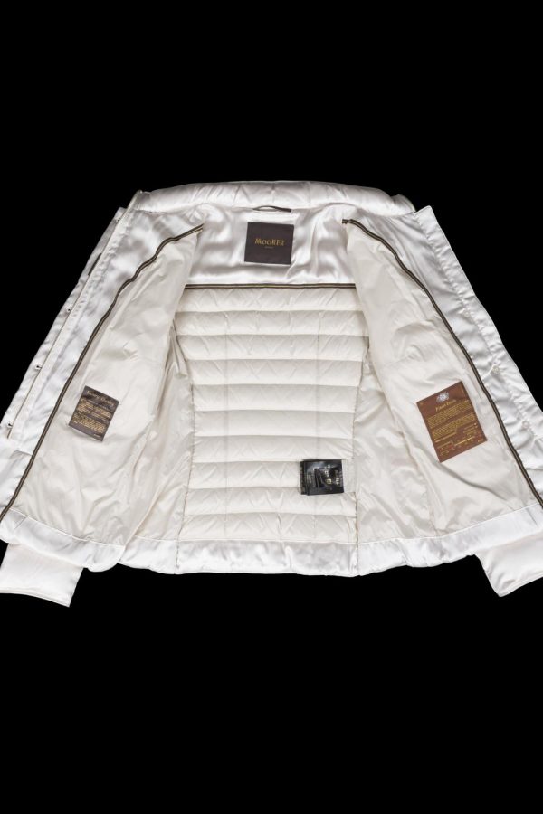 Bitewave.shop725013f5dd 5