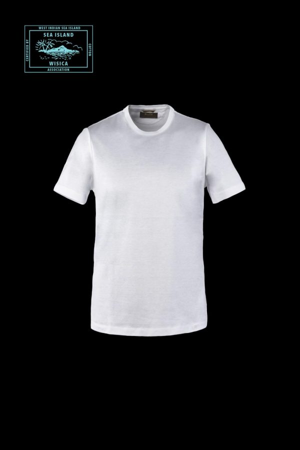 Bitewave.shop783dca1265 1