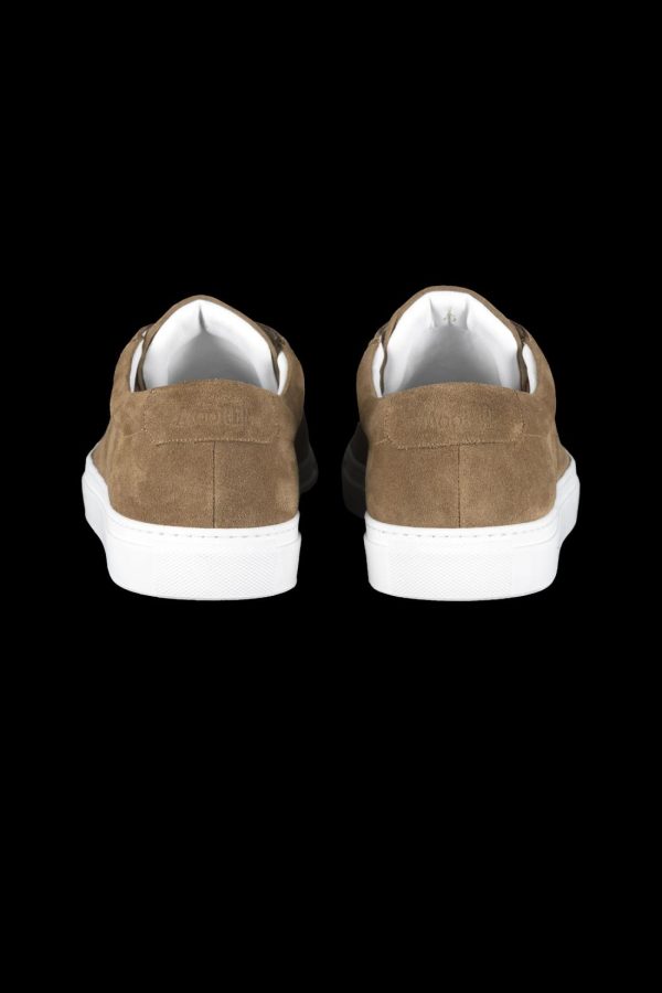 Bitewave.shop7a57d4b39b 3