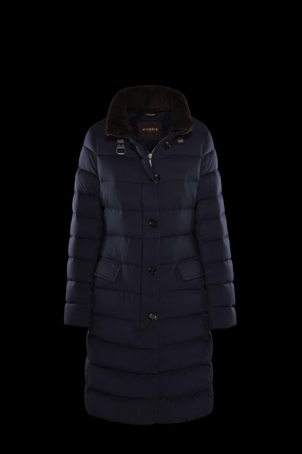 Bitewave.shop8bd83b63c2 2