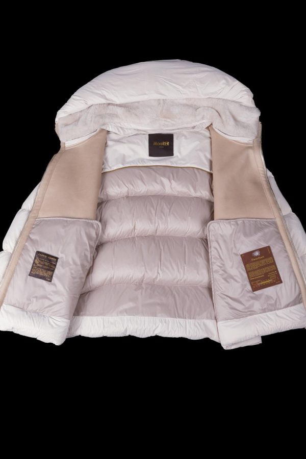 Bitewave.shop8bda75f803 5