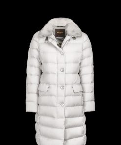 Bitewave.shop8f33f04979 2