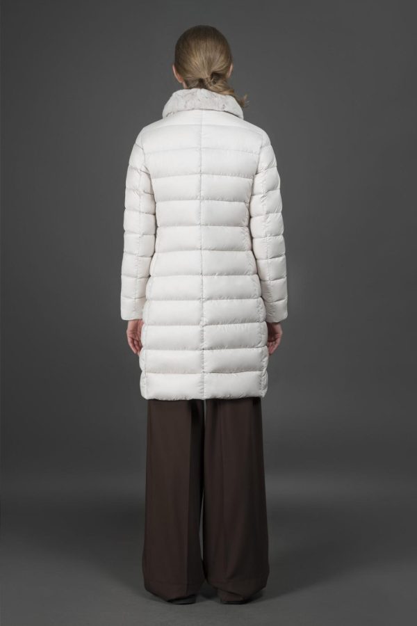 Bitewave.shop8f33f04979 5