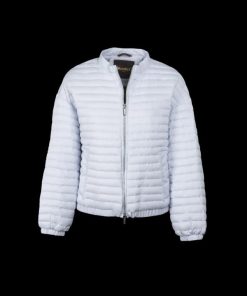 Bitewave.shop91ce7f1d84 2