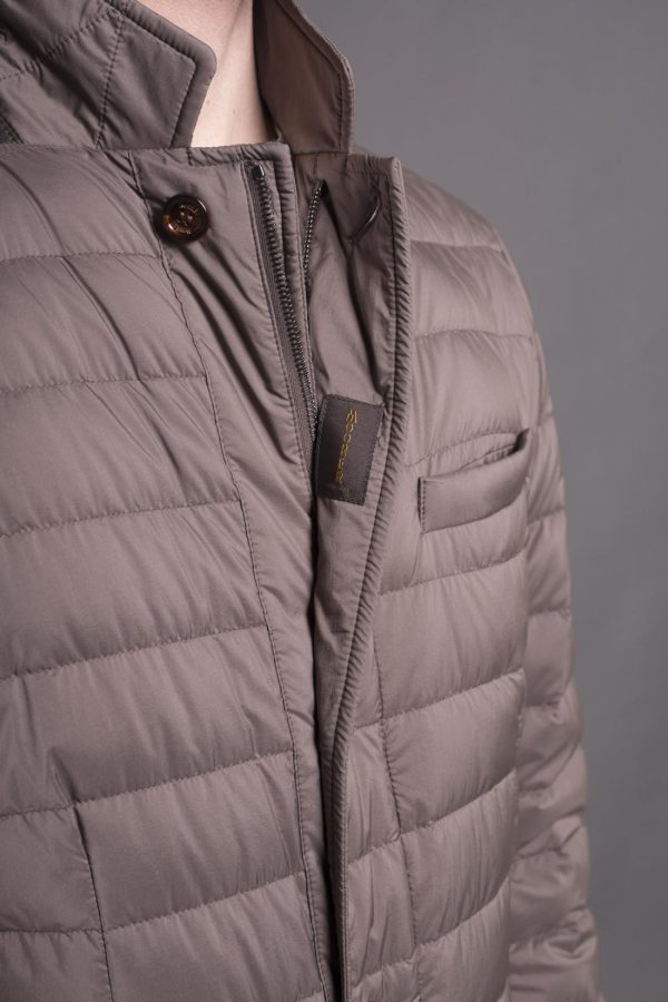 Bitewave.shopad2edbac72 5