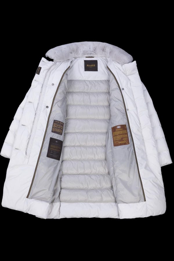 Bitewave.shopb90a889db2 3