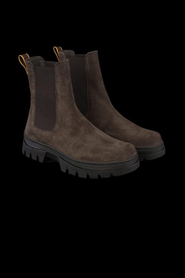 Bitewave.shopbb9b356306 1