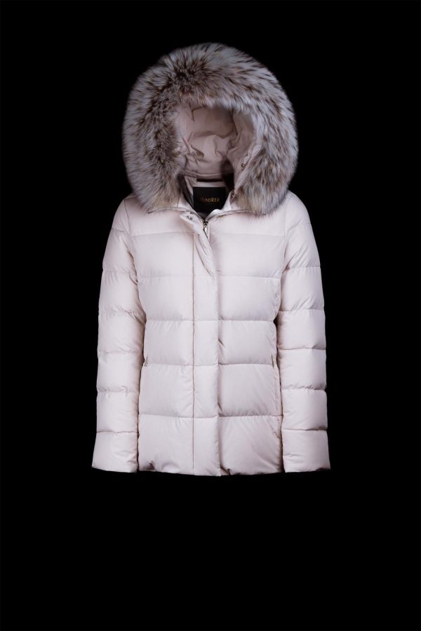 Bitewave.shopce4689378f 2