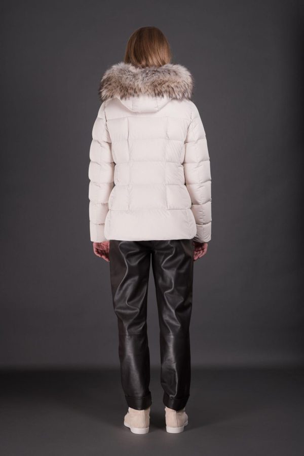 Bitewave.shopce4689378f 3