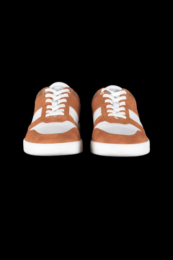 Bitewave.shope652bfbdf6 4