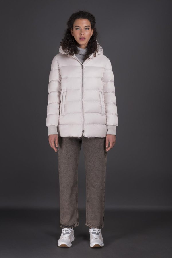 Bitewave.shopfd2666f7c9 5